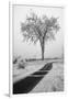 USA, Minnesota, Duluth, Park Point, Boardwalk over Dunes-Peter Hawkins-Framed Photographic Print