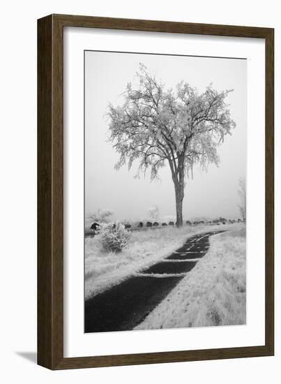 USA, Minnesota, Duluth, Park Point, Boardwalk over Dunes-Peter Hawkins-Framed Photographic Print