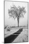 USA, Minnesota, Duluth, Park Point, Boardwalk over Dunes-Peter Hawkins-Mounted Photographic Print