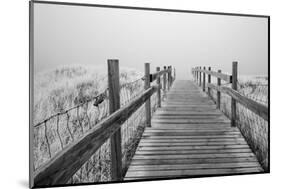 USA, Minnesota, Duluth, Park Point, Boardwalk over Dunes-Peter Hawkins-Mounted Photographic Print