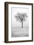 USA, Minnesota, Duluth, Park Point, Boardwalk over Dunes-Peter Hawkins-Framed Photographic Print