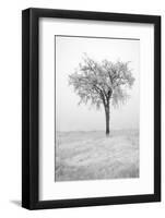 USA, Minnesota, Duluth, Park Point, Boardwalk over Dunes-Peter Hawkins-Framed Photographic Print