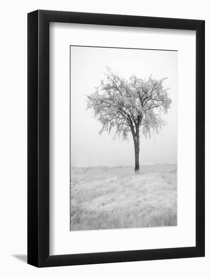 USA, Minnesota, Duluth, Park Point, Boardwalk over Dunes-Peter Hawkins-Framed Photographic Print