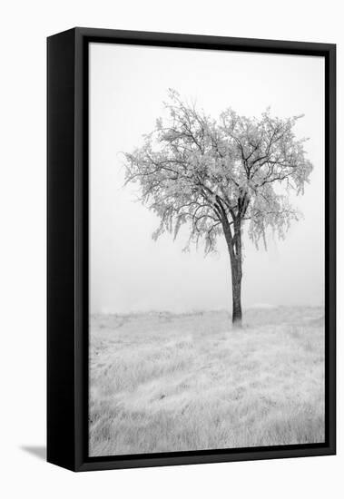 USA, Minnesota, Duluth, Park Point, Boardwalk over Dunes-Peter Hawkins-Framed Stretched Canvas