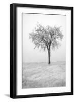 USA, Minnesota, Duluth, Park Point, Boardwalk over Dunes-Peter Hawkins-Framed Photographic Print