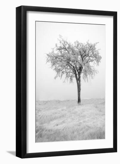 USA, Minnesota, Duluth, Park Point, Boardwalk over Dunes-Peter Hawkins-Framed Photographic Print