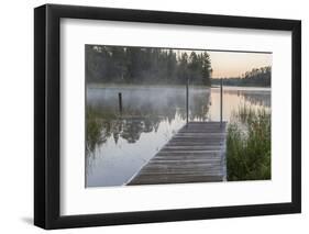 USA, Minnesota, Itasca State Park, Lake Itasca-Peter Hawkins-Framed Photographic Print