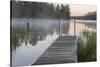 USA, Minnesota, Itasca State Park, Lake Itasca-Peter Hawkins-Stretched Canvas