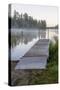 USA, Minnesota, Itasca State Park, Lake Itasca-Peter Hawkins-Stretched Canvas