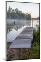 USA, Minnesota, Itasca State Park, Lake Itasca-Peter Hawkins-Mounted Photographic Print