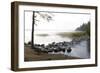 USA, Minnesota, Itasca State Park, Mississippi Headwaters-Peter Hawkins-Framed Photographic Print