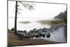 USA, Minnesota, Itasca State Park, Mississippi Headwaters-Peter Hawkins-Mounted Photographic Print