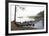 USA, Minnesota, Itasca State Park, Mississippi Headwaters-Peter Hawkins-Framed Photographic Print