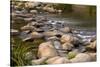 USA, Minnesota, Itasca State Park, Mississippi Headwaters-Peter Hawkins-Stretched Canvas
