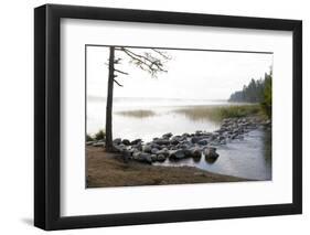 USA, Minnesota, Itasca State Park, Mississippi Headwaters-Peter Hawkins-Framed Photographic Print