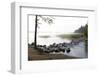 USA, Minnesota, Itasca State Park, Mississippi Headwaters-Peter Hawkins-Framed Photographic Print