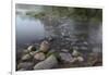 USA, Minnesota, Itasca State Park, Mississippi Headwaters-Peter Hawkins-Framed Photographic Print