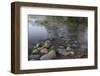 USA, Minnesota, Itasca State Park, Mississippi Headwaters-Peter Hawkins-Framed Photographic Print