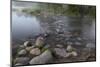 USA, Minnesota, Itasca State Park, Mississippi Headwaters-Peter Hawkins-Mounted Photographic Print