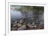 USA, Minnesota, Itasca State Park, Mississippi Headwaters-Peter Hawkins-Framed Photographic Print