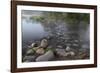 USA, Minnesota, Itasca State Park, Mississippi Headwaters-Peter Hawkins-Framed Photographic Print