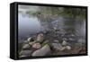 USA, Minnesota, Itasca State Park, Mississippi Headwaters-Peter Hawkins-Framed Stretched Canvas