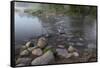 USA, Minnesota, Itasca State Park, Mississippi Headwaters-Peter Hawkins-Framed Stretched Canvas