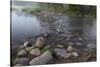 USA, Minnesota, Itasca State Park, Mississippi Headwaters-Peter Hawkins-Stretched Canvas