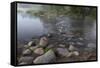 USA, Minnesota, Itasca State Park, Mississippi Headwaters-Peter Hawkins-Framed Stretched Canvas