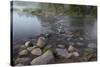 USA, Minnesota, Itasca State Park, Mississippi Headwaters-Peter Hawkins-Stretched Canvas