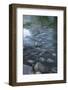 USA, Minnesota, Itasca State Park, Mississippi Headwaters-Peter Hawkins-Framed Photographic Print