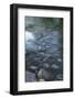 USA, Minnesota, Itasca State Park, Mississippi Headwaters-Peter Hawkins-Framed Photographic Print