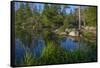 USA, Minnesota, Itasca State Park, Mississippi Headwaters-Peter Hawkins-Framed Stretched Canvas