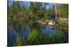 USA, Minnesota, Itasca State Park, Mississippi Headwaters-Peter Hawkins-Stretched Canvas