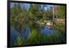 USA, Minnesota, Itasca State Park, Mississippi Headwaters-Peter Hawkins-Framed Photographic Print