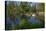 USA, Minnesota, Itasca State Park, Mississippi Headwaters-Peter Hawkins-Stretched Canvas