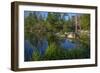 USA, Minnesota, Itasca State Park, Mississippi Headwaters-Peter Hawkins-Framed Photographic Print