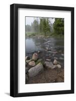 USA, Minnesota, Itasca State Park, Mississippi Headwaters-Peter Hawkins-Framed Photographic Print