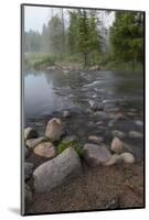 USA, Minnesota, Itasca State Park, Mississippi Headwaters-Peter Hawkins-Mounted Photographic Print