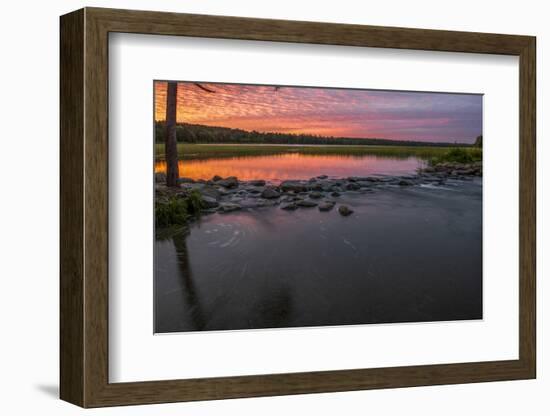 USA, Minnesota, Itasca State Park, Mississippi Headwaters-Peter Hawkins-Framed Photographic Print