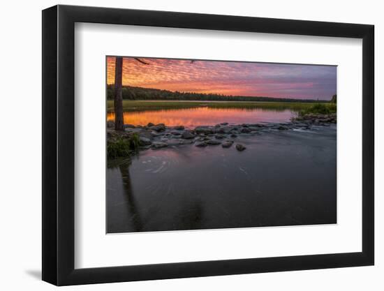 USA, Minnesota, Itasca State Park, Mississippi Headwaters-Peter Hawkins-Framed Photographic Print