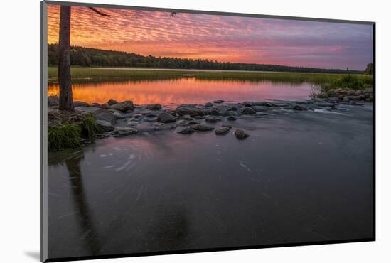 USA, Minnesota, Itasca State Park, Mississippi Headwaters-Peter Hawkins-Mounted Photographic Print