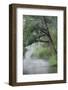 USA, Minnesota, Itasca State Park, Mississippi Headwaters-Peter Hawkins-Framed Photographic Print