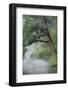 USA, Minnesota, Itasca State Park, Mississippi Headwaters-Peter Hawkins-Framed Photographic Print