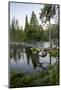 USA, Minnesota, Itasca State Park, Mississippi Headwaters-Peter Hawkins-Mounted Photographic Print