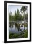 USA, Minnesota, Itasca State Park, Mississippi Headwaters-Peter Hawkins-Framed Photographic Print