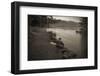 USA, Minnesota, Itasca State Park, Mississippi Headwaters-Peter Hawkins-Framed Photographic Print