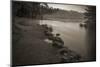 USA, Minnesota, Itasca State Park, Mississippi Headwaters-Peter Hawkins-Mounted Photographic Print