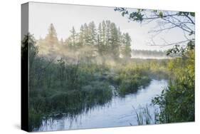 USA, Minnesota, Itasca State Park, Mississippi Headwaters-Peter Hawkins-Stretched Canvas