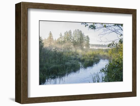 USA, Minnesota, Itasca State Park, Mississippi Headwaters-Peter Hawkins-Framed Photographic Print